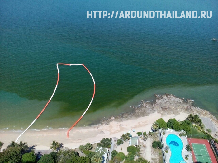 Непонятное зеленое пятно на пляжах Паттайи Непонятное зеленое пятно на пляжах Паттайи