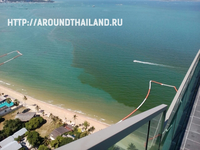 Непонятное зеленое пятно на пляжах Паттайи Непонятное зеленое пятно на пляжах Паттайи