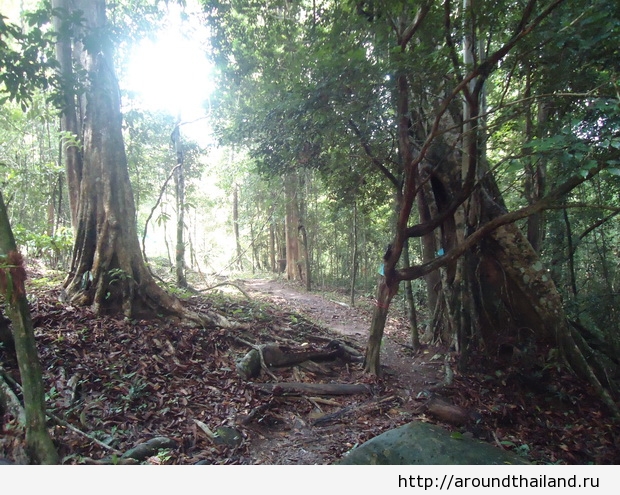 Джунги на Ко Куде Джунги на Ко Куде