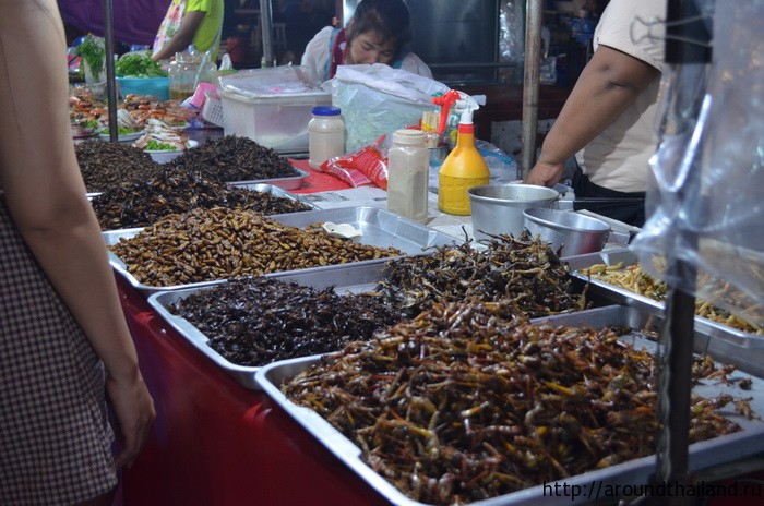 Тараканы, жучки, личинки