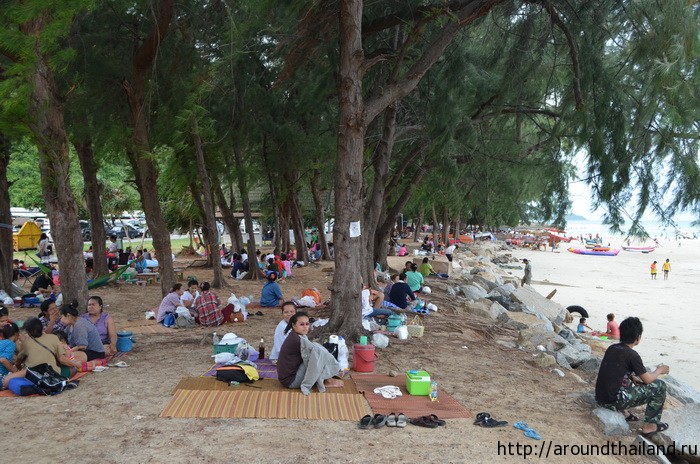 Тайцы прячутся под тенью деревьев