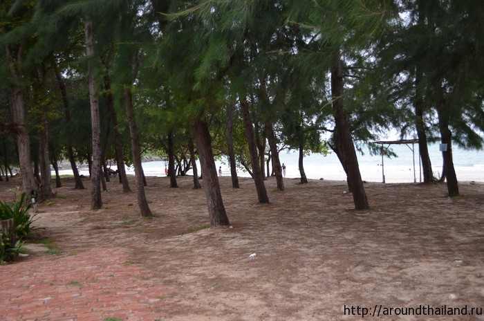 Природа в районе пляжа Hat Nang Ram