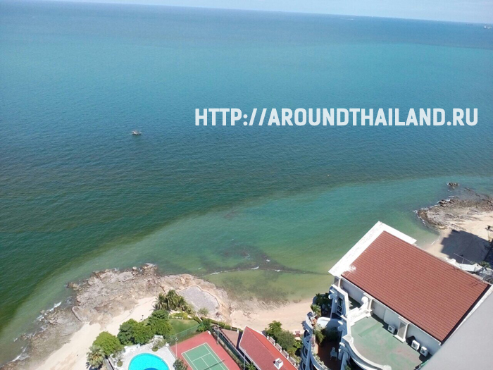 Непонятное зеленое пятно на пляжах Паттайи Непонятное зеленое пятно на пляжах Паттайи