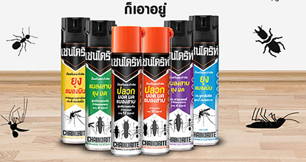 Как избавиться от тараканов