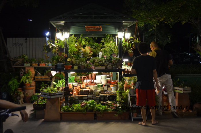 Ночной рынок Поезд Ночной рынок Поезд