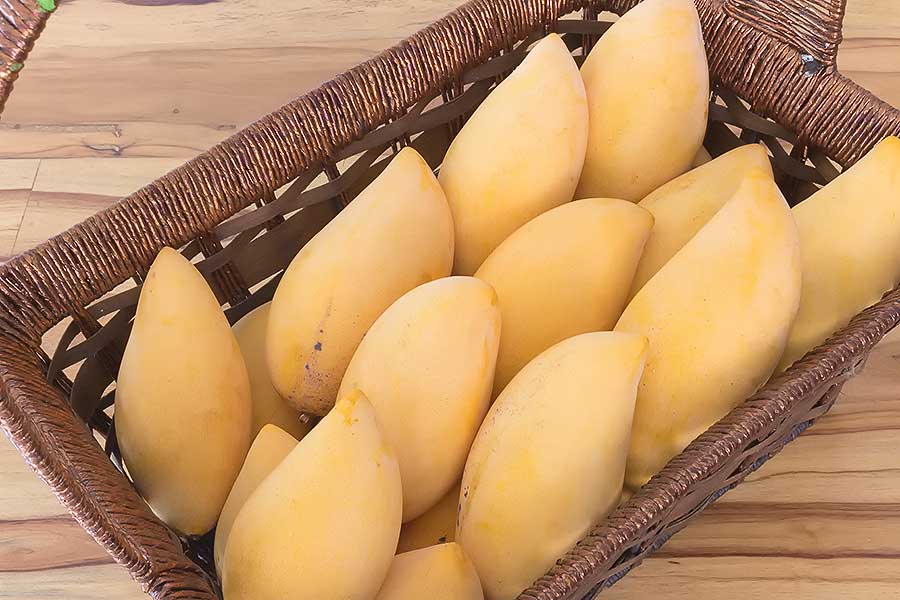 Какие фрукты привезти из Таиланда