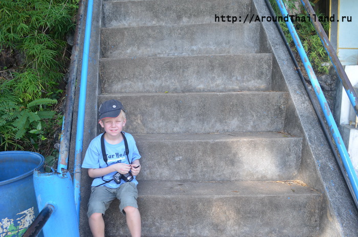 1,237 ступеней 1,237 ступеней