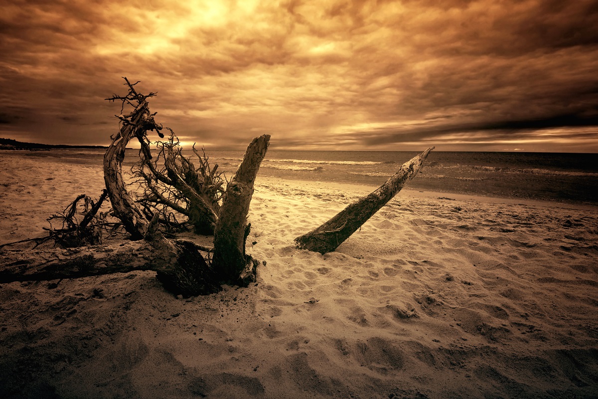 Цунами в Таиланде